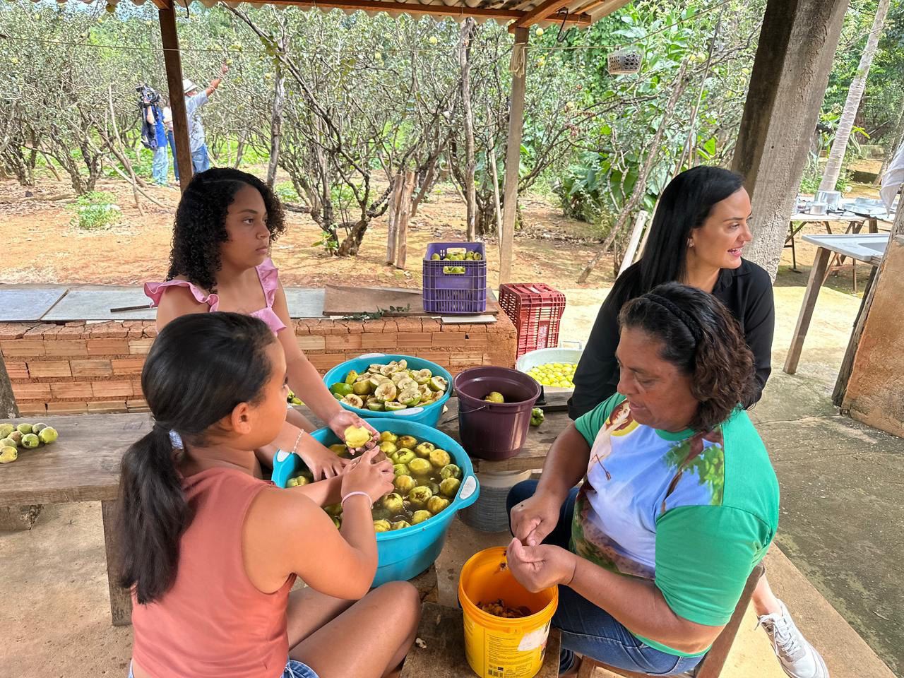 Cidade Ocidental celebra a colheita do marmelo no Quilombo Mesquita